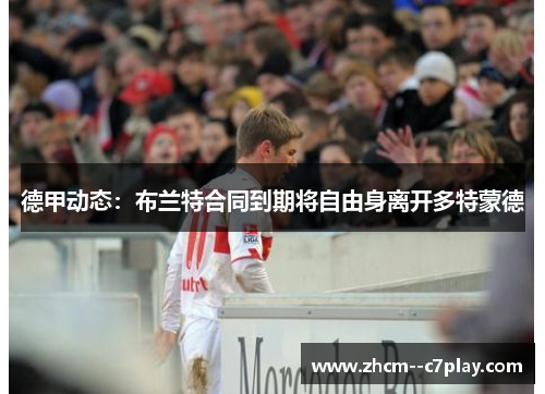 德甲动态:布兰特合同到期将自由身离开多特蒙德 德甲动态:布兰特合同到期将自由身离开多特蒙德